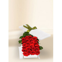 24 Red Rose Stems for Valentine's Day